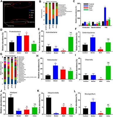 Canagliflozin Prevents Lipid Accumulation, Mitochondrial Dysfunction, and Gut Microbiota Dysbiosis in Mice With Diabetic Cardiovascular Disease